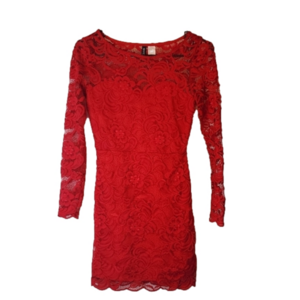 Divided by H&M red lace long sleeve dress. Size 6